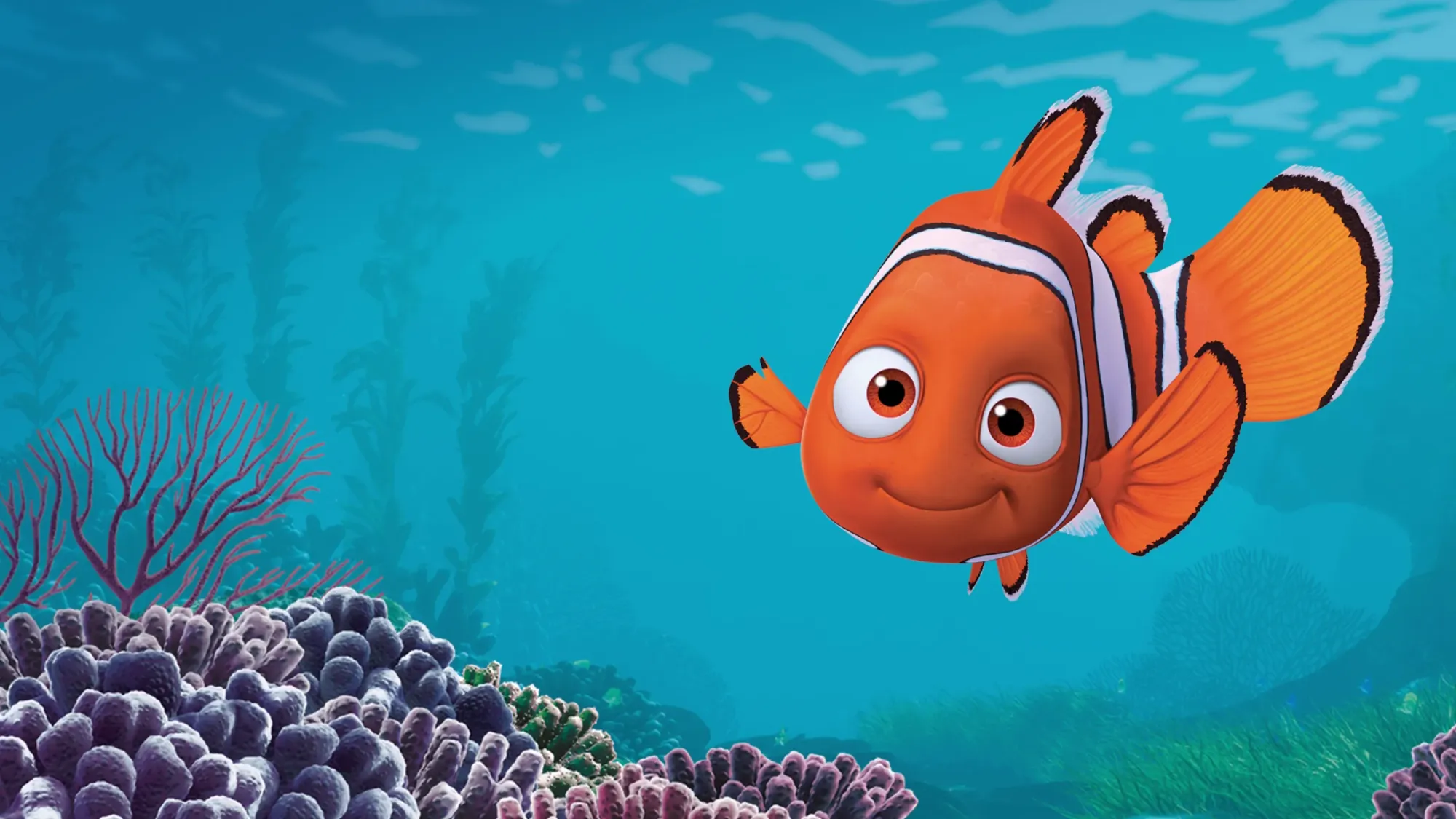 拆解動畫 Le Monde de Nemo《 海底總動員》法文：精講命令式、委婉語氣與口語常用表達