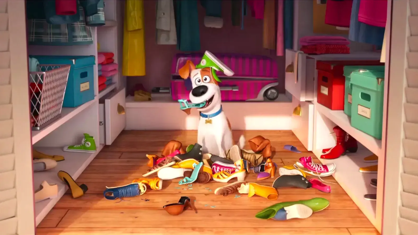 看寵物當家 The Secret Life of Pets 學英文 Part 1：get this 與 the next thing I know 用法