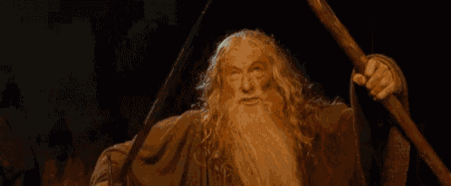 Gandalf shouting "You Shall Not Pass!"
