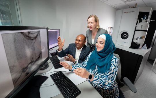 New Research Reveals Stress Granules May Shield Against ALS and Dementia