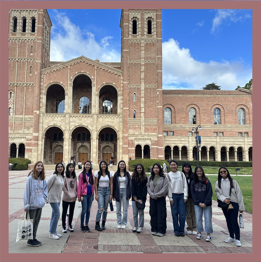 The Steamology Project