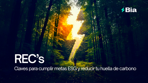 Certificados de energía renovable (RECs): Claves para cumplir metas ESG y reducir tu huella de carbono