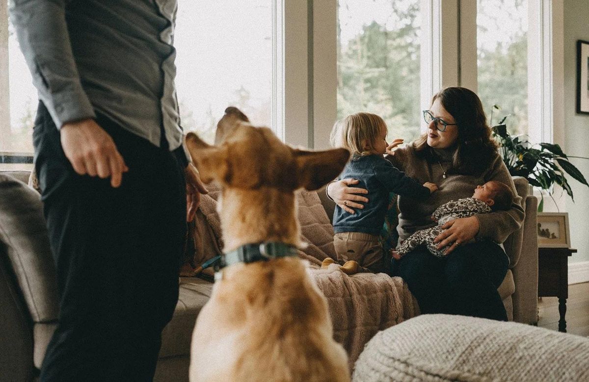 The Secret Life of Dogs