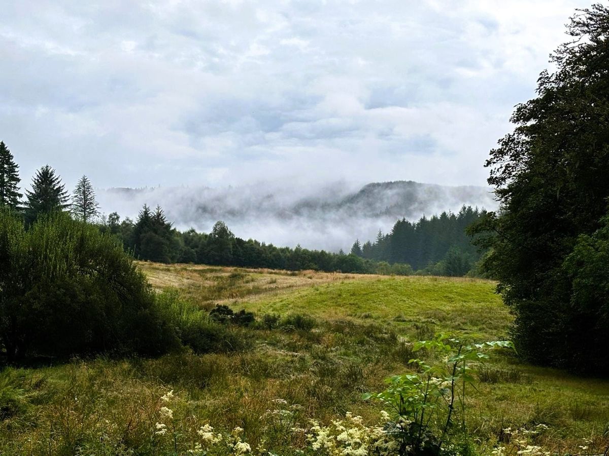 Glenshellish LARP - May 2026