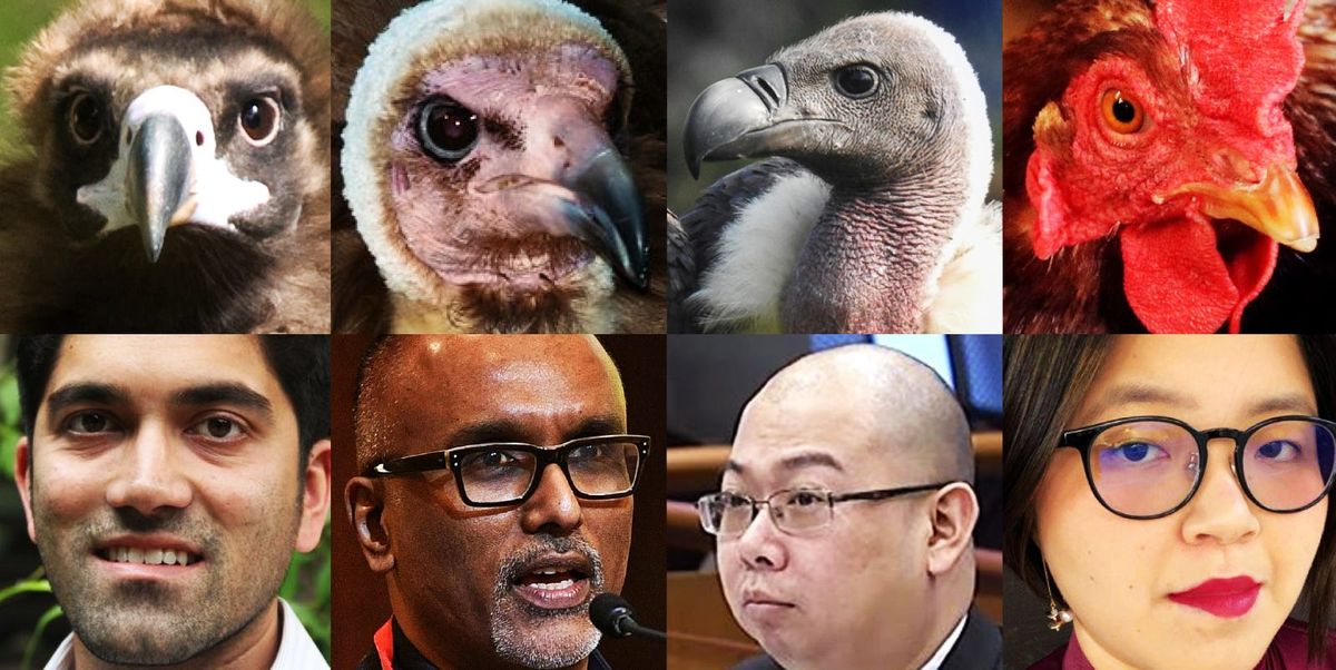 Singaporean vultures are out for SPH’s carcass Feature image