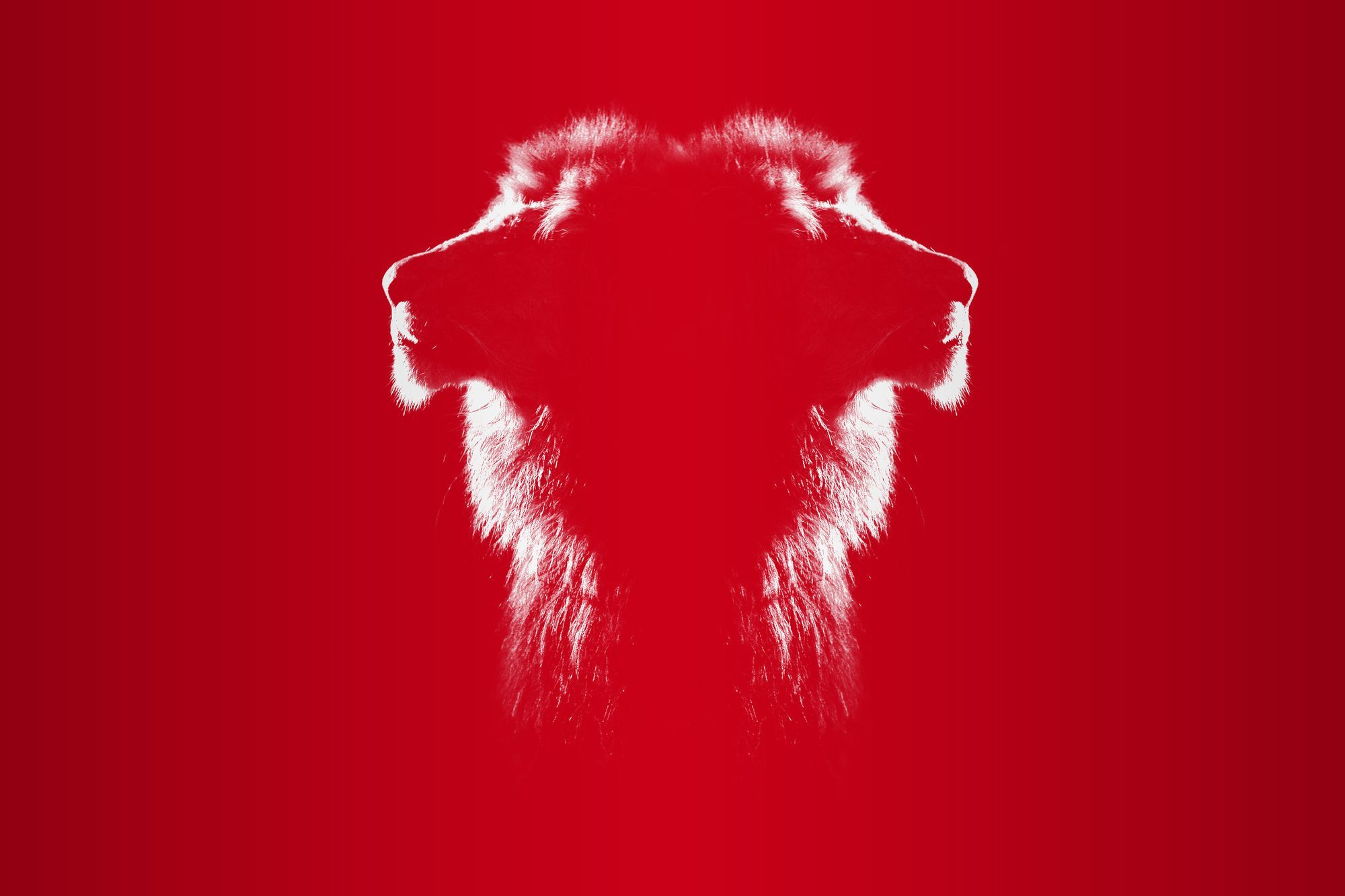 Lion at the crossroads: Singapore’s most significant General Election since 1963 Post image