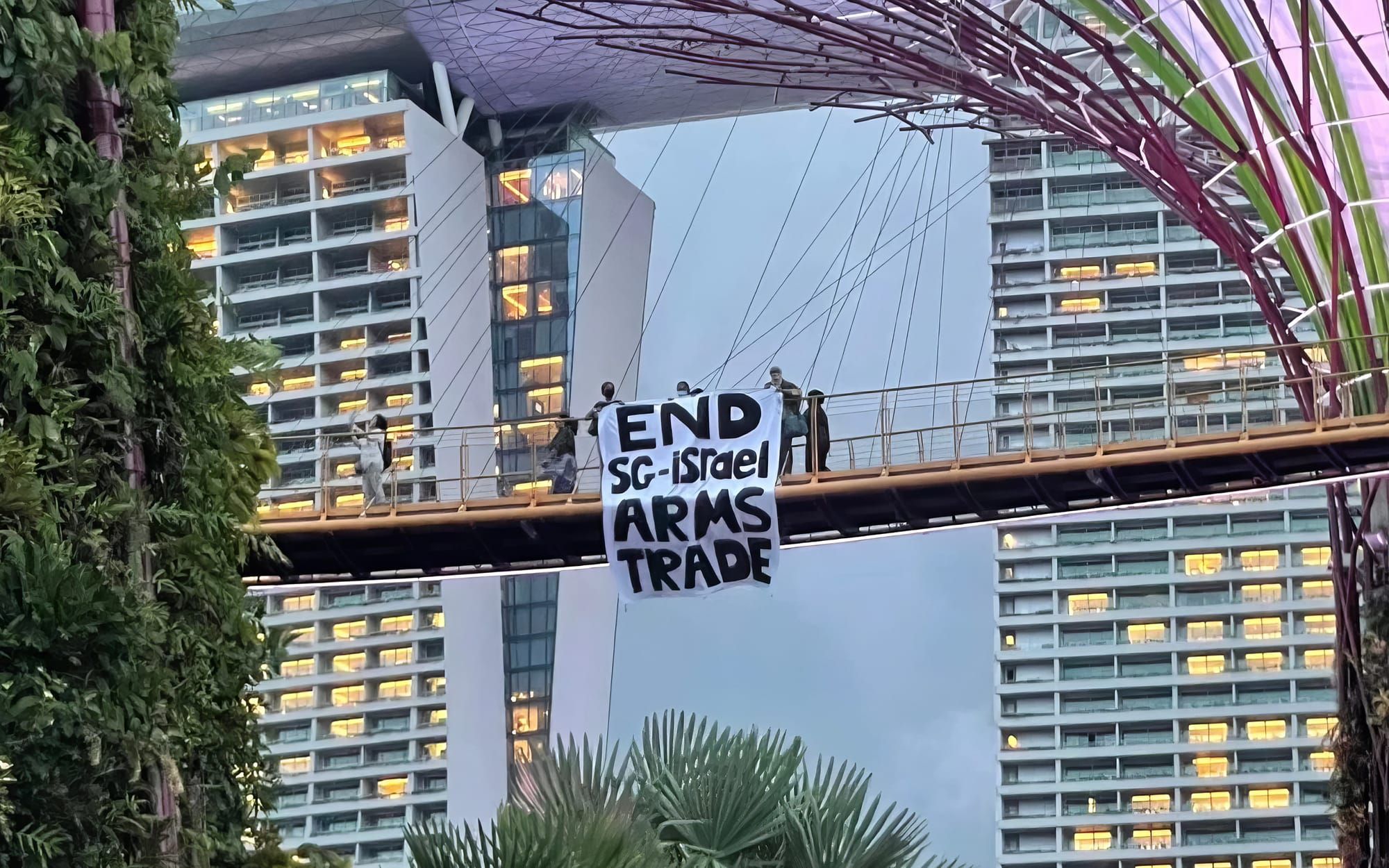 Pro-Palestinian protesters from Singapore should just move to Malaysia Post image