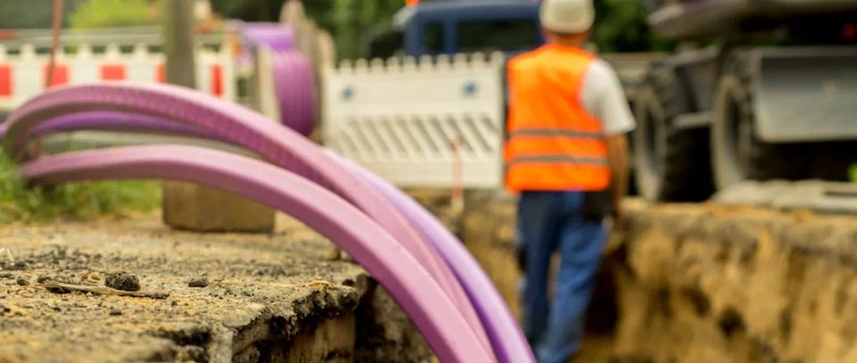 Headwinds flatten Chorus result