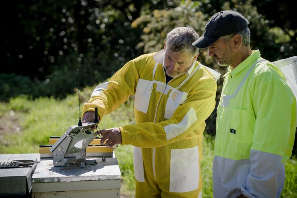 One NZ Satellite IoT. 