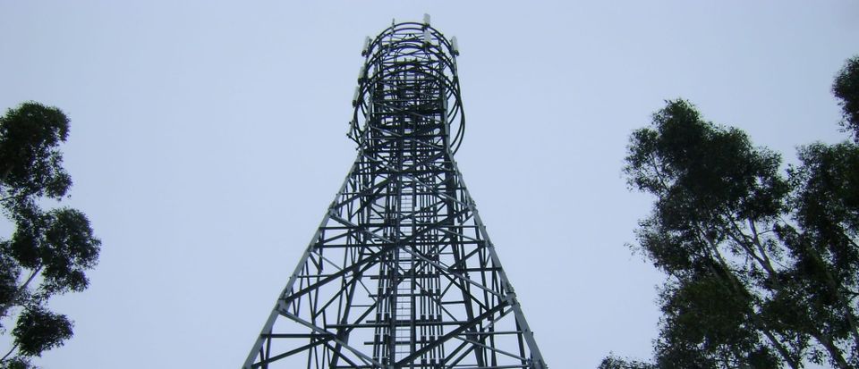 Cell tower at Ohaka. 