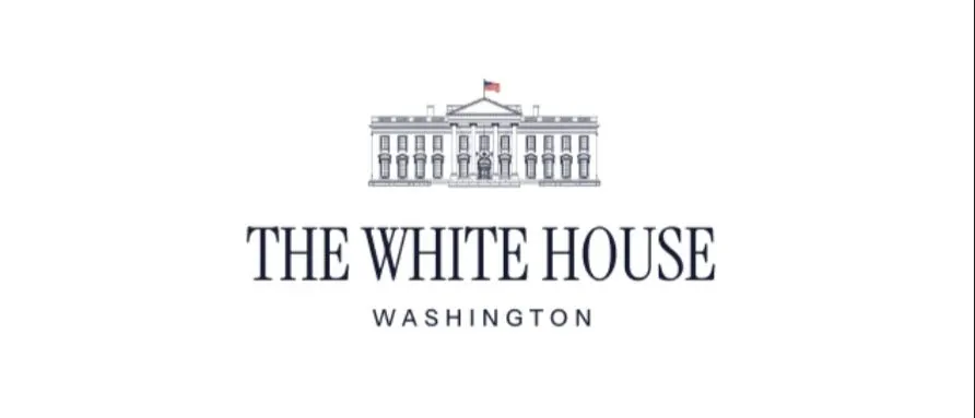 Remarks by Vice President Vance Before Roundtable