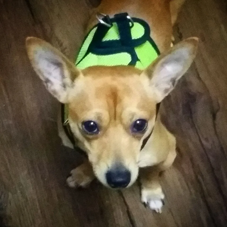 Mom, Carrie Fisher and a Jedi