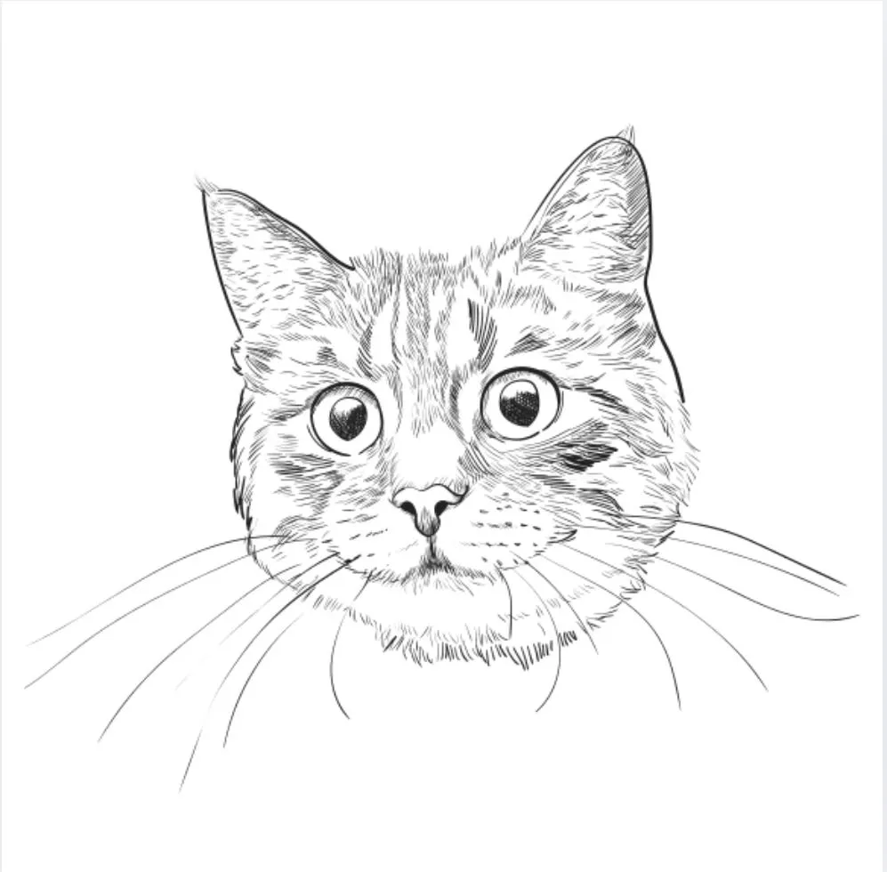 No Doom Scrolling: It's Caturday Night!