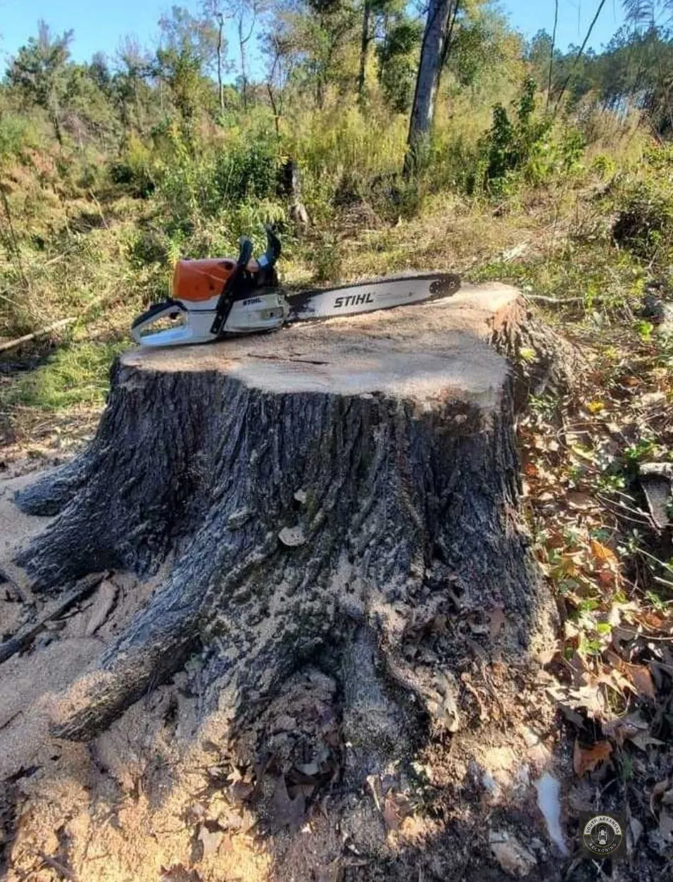 A Lesson from Pop on a Dying Trade