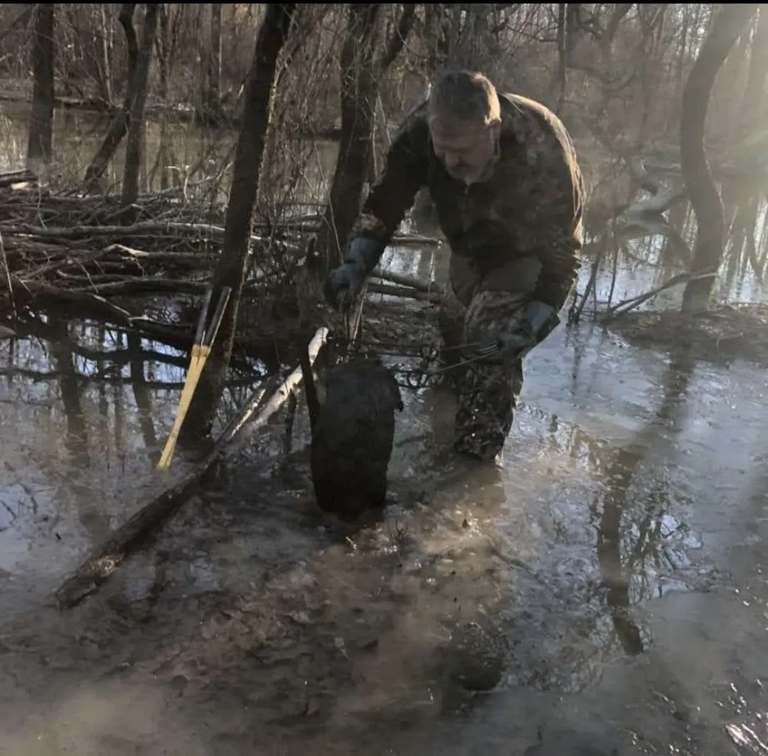 How To Deal With A Bad Beaver