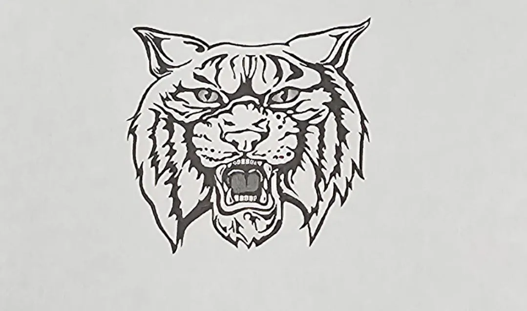 Cleveland County School District: Dog Grooming Fees Missing