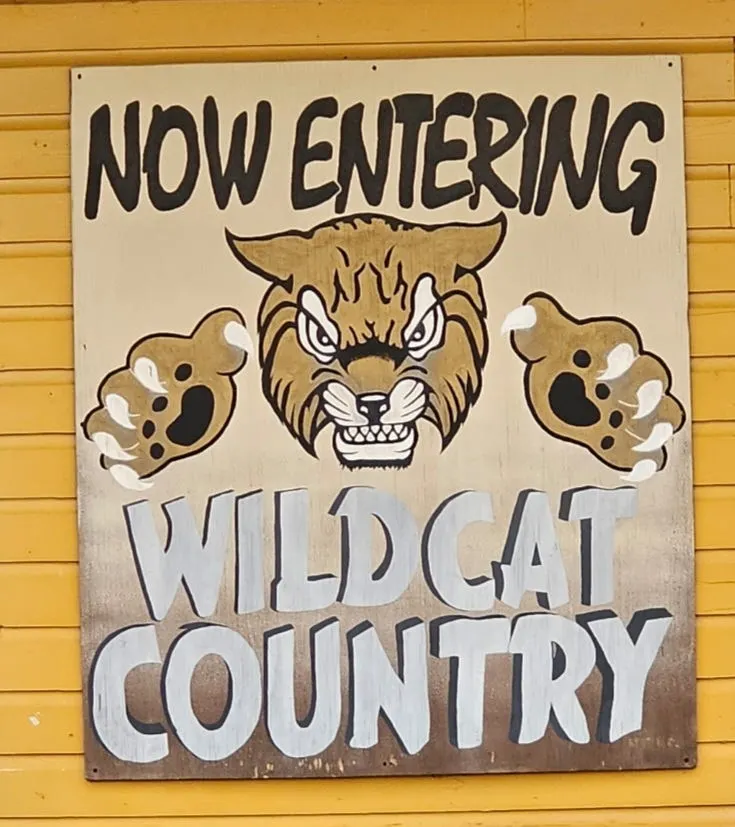 Some Arkansas Superintendents Earn More Than Sarah Sanders