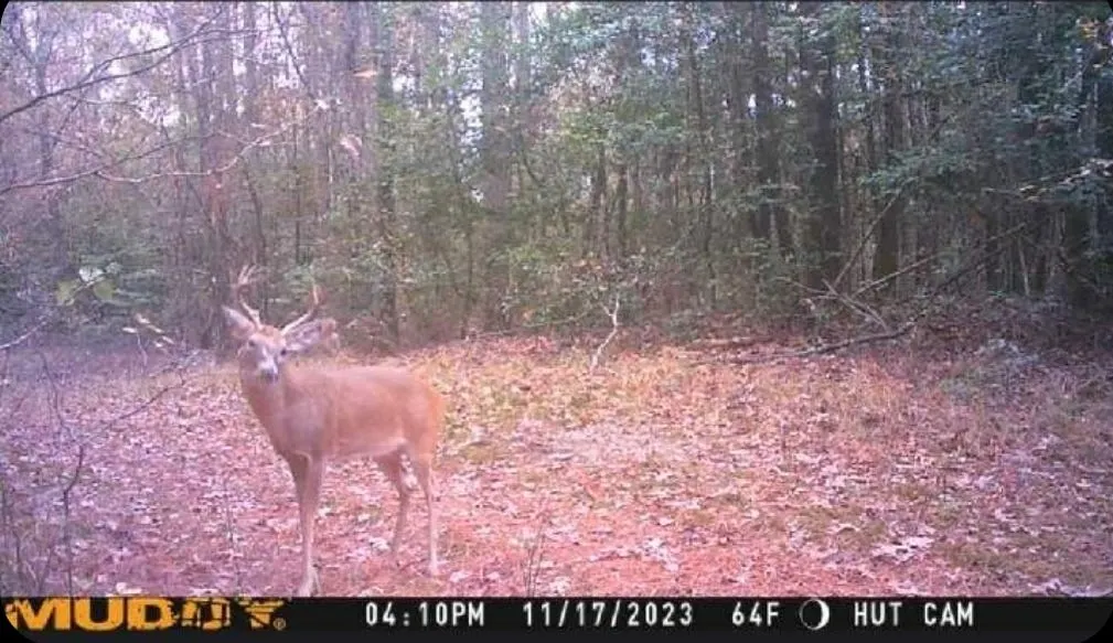 Dear Sarah: Don't Forget Deer Season