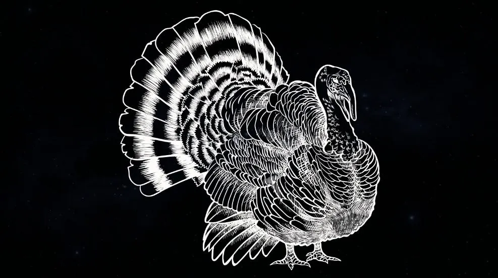 Common Sense, Thrifting, Civility, Turkey Hunting