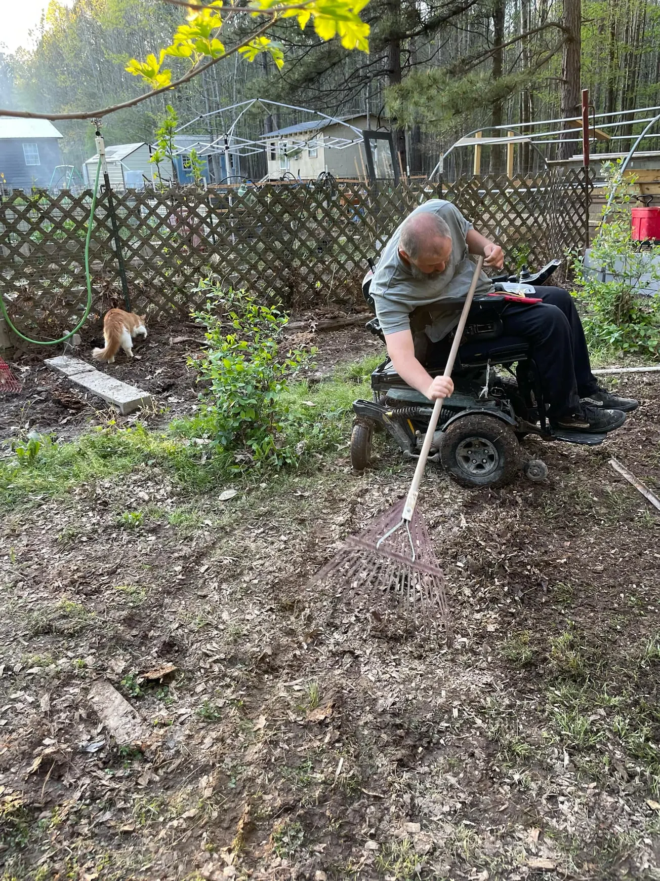 Family Rescued in Arkansas From Rising Flood Waters