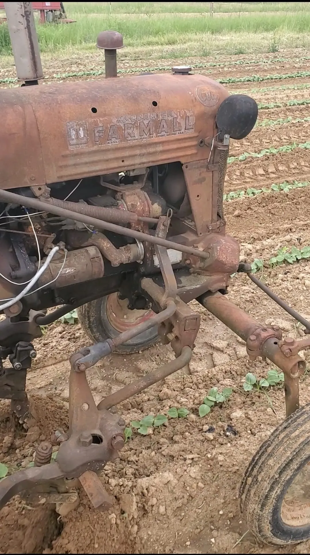 Made In America: Farmall Tractors & Purple Hull Peas