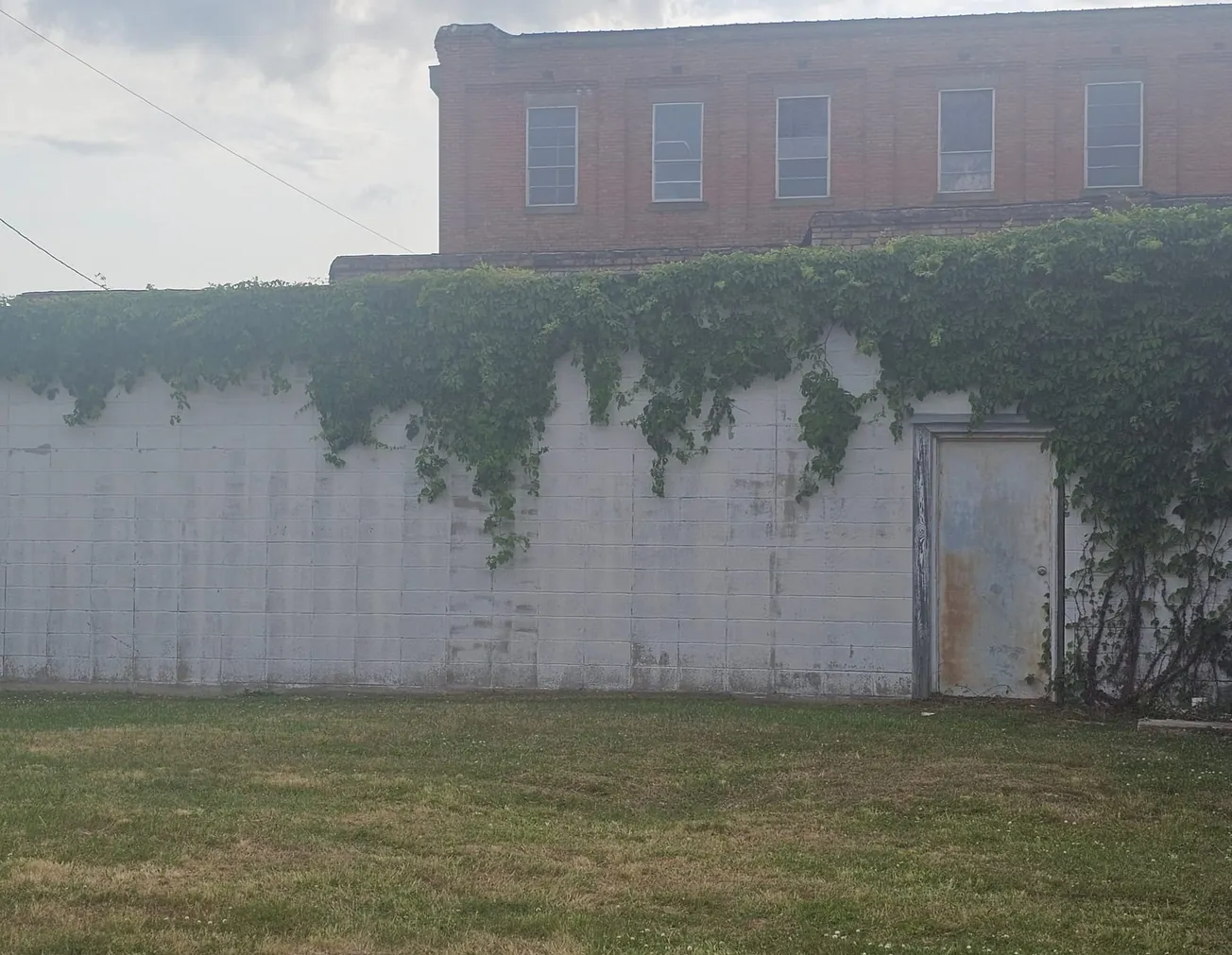 Southern Gothic: Eudora Welty Day