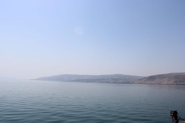 Welcome to Heart & Science