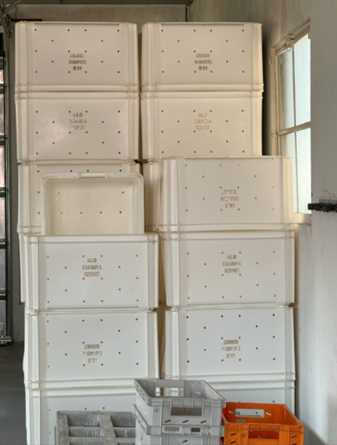 【Aurore Casanovaで使用される収穫カゴ】