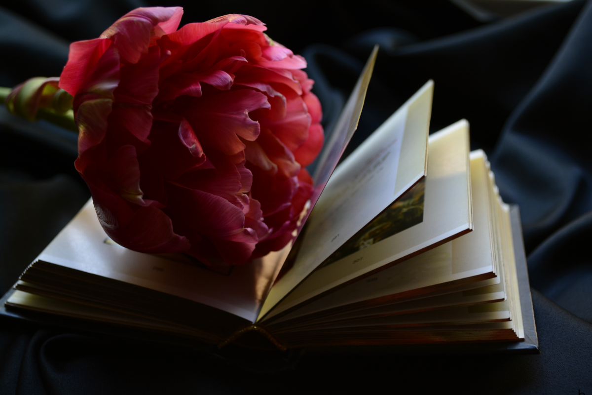 Triggers and Treasures - The Strange Power of Memory Post image