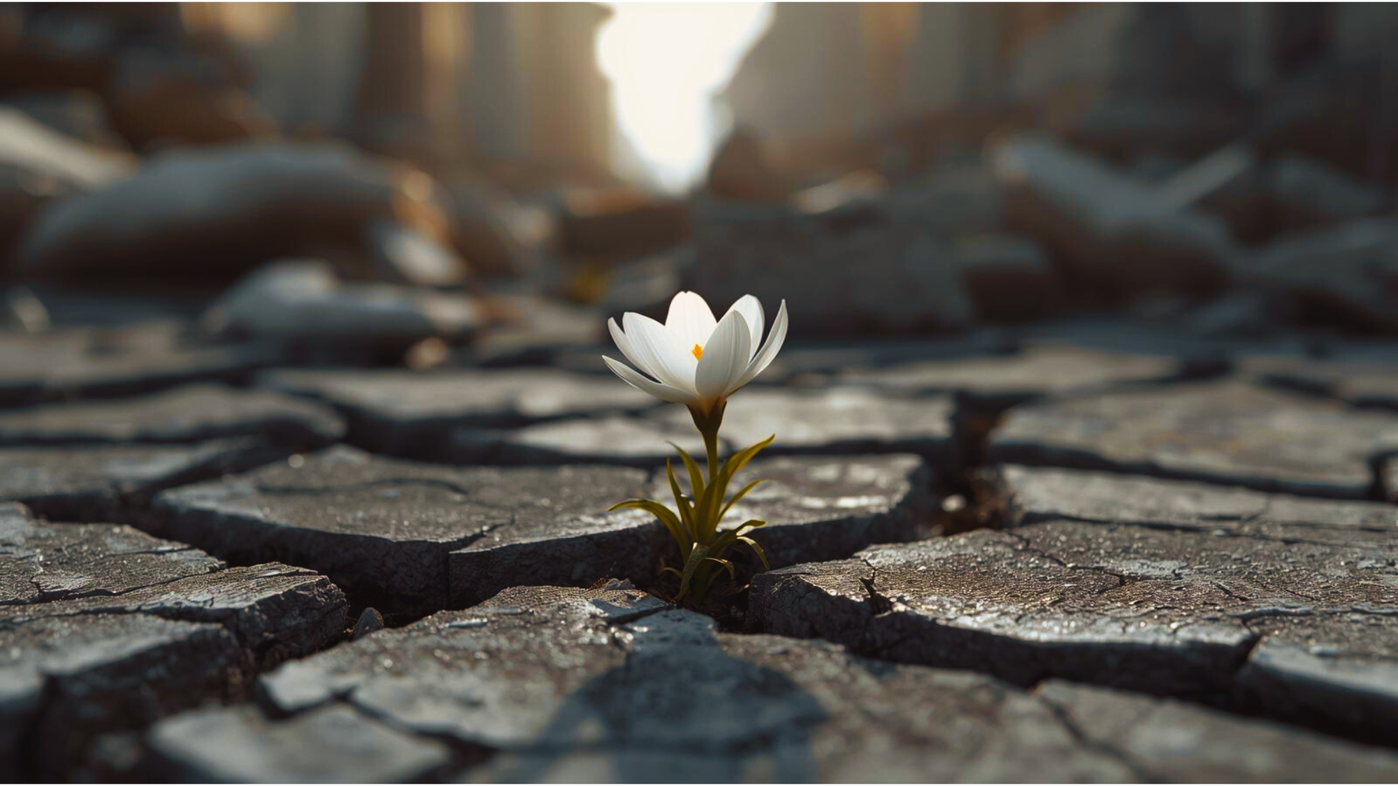 Return to Center - Recalibrating After Family Drama Post image