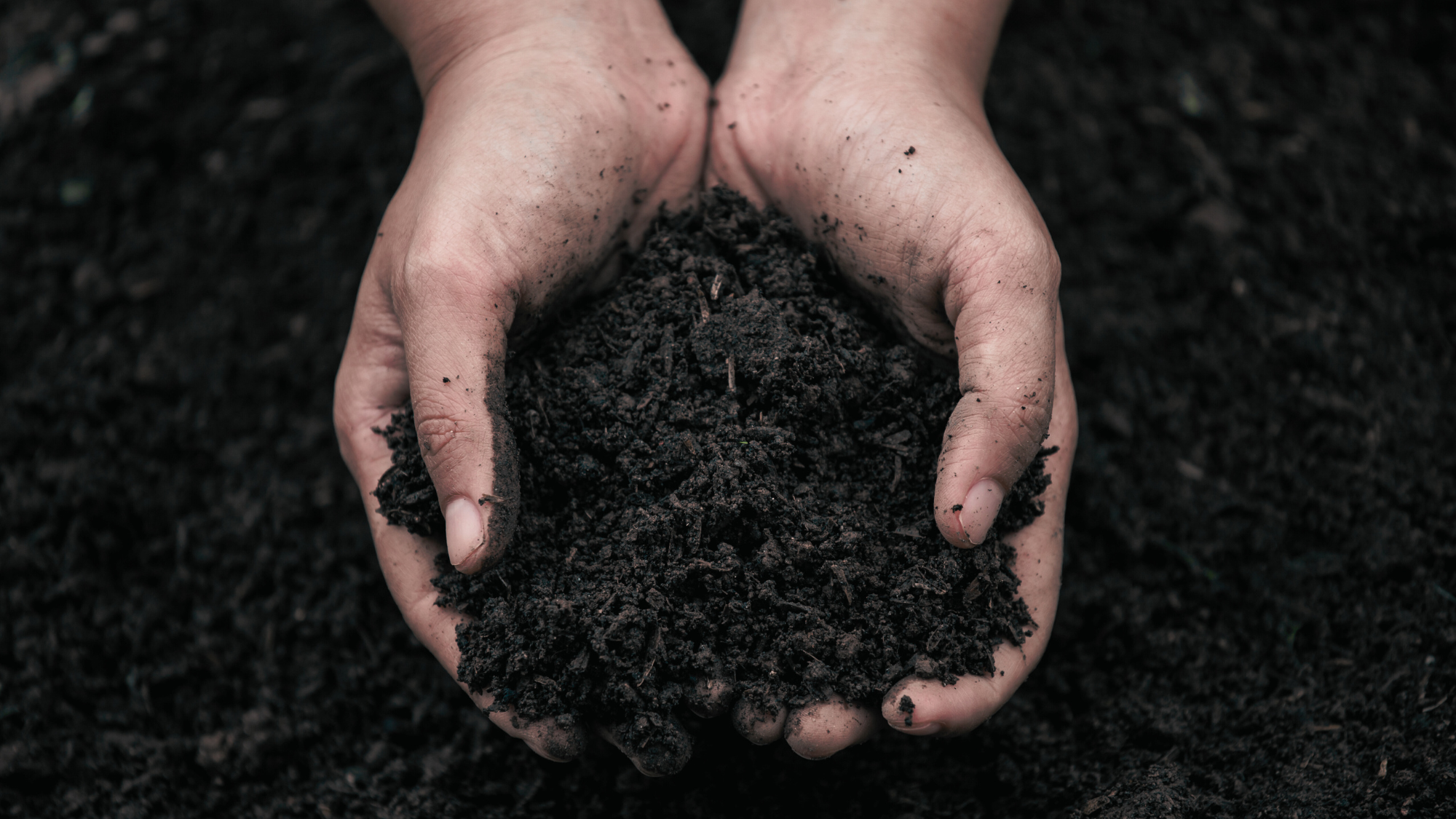 Dirty Work - Child Abuse, But Not What You Think Post image
