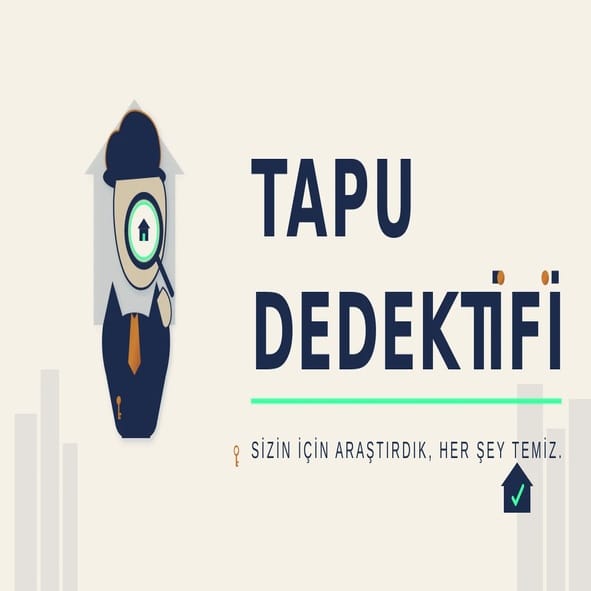 Tapu Dedektifi