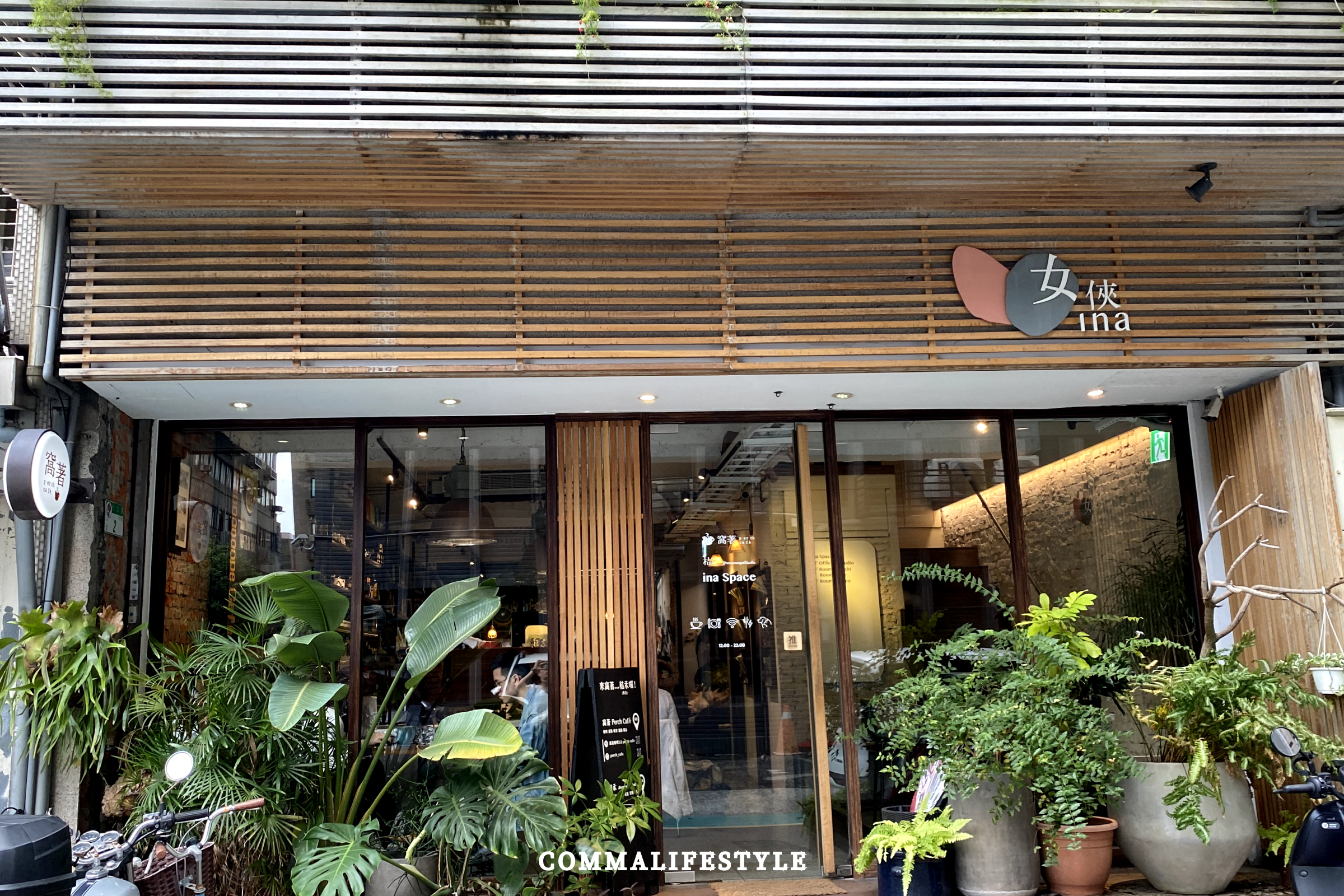 店外有好幾盆植物