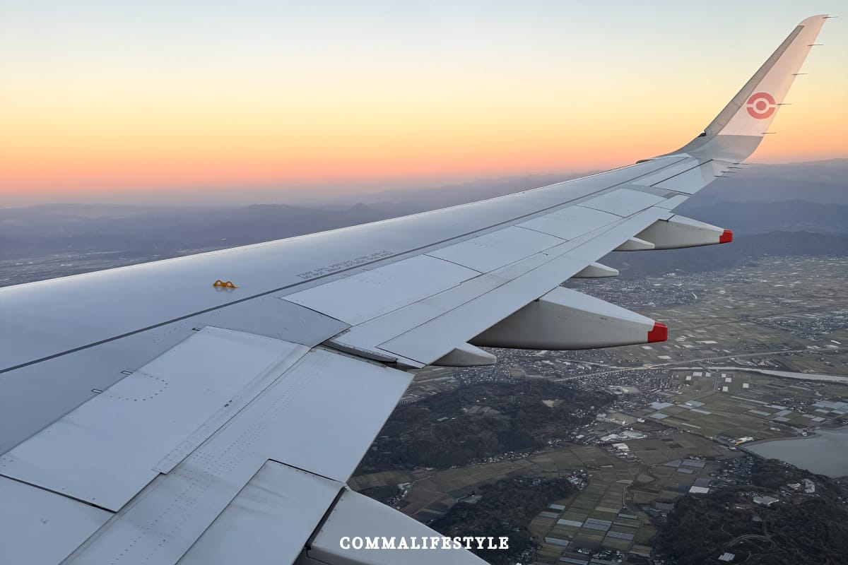 飛機機翼搭配陸地景色