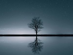 The Physical Impossibility of Death in the Mind of Someone Living: The Incompletability of Understanding Death Post feature image