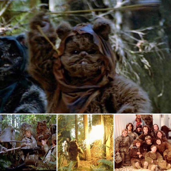 Come Meet an Ewok - MiracleCon This Weekend!