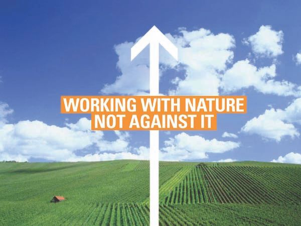 Working with Nature, Not Against It: Climate and Infrastructure