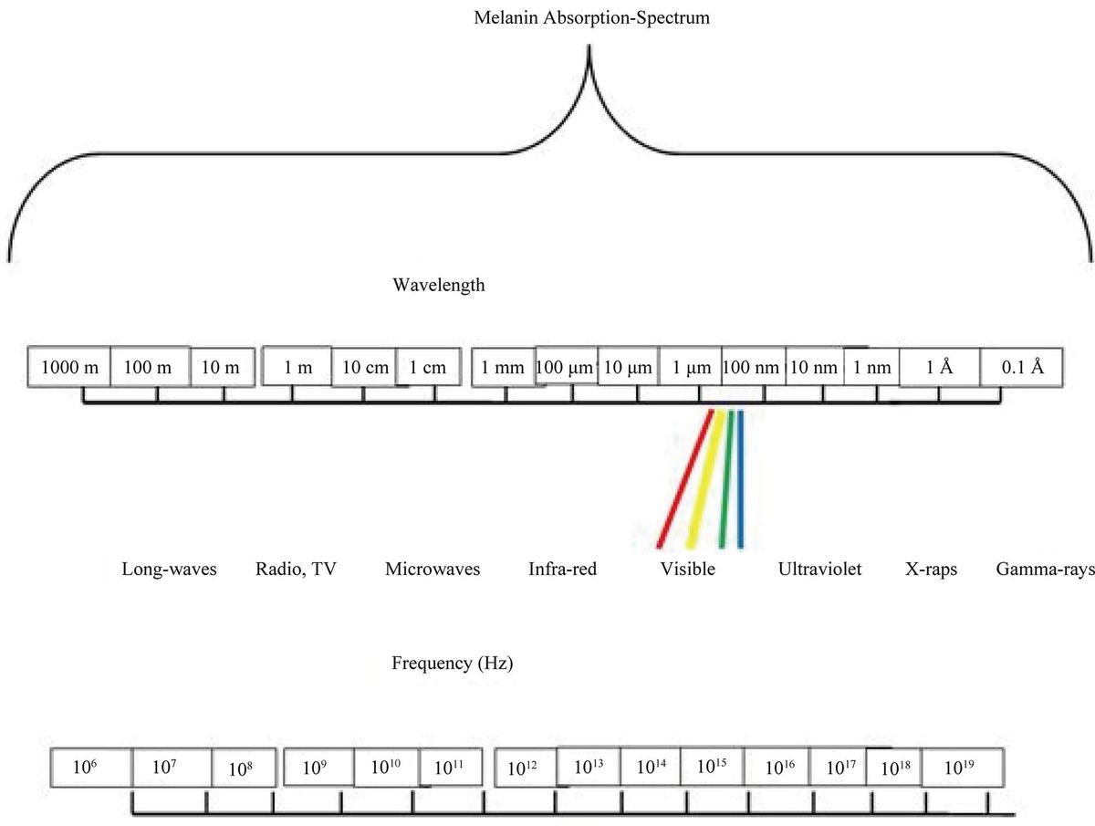 MELANIN: THE LIVING TECHNOLOGY DERMATOLOGY IGNORES