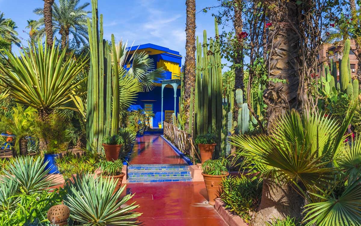 Lush cactus and palm garden pathway leading to the blue Jardin Majorelle villa in Marrakech, Morocco
