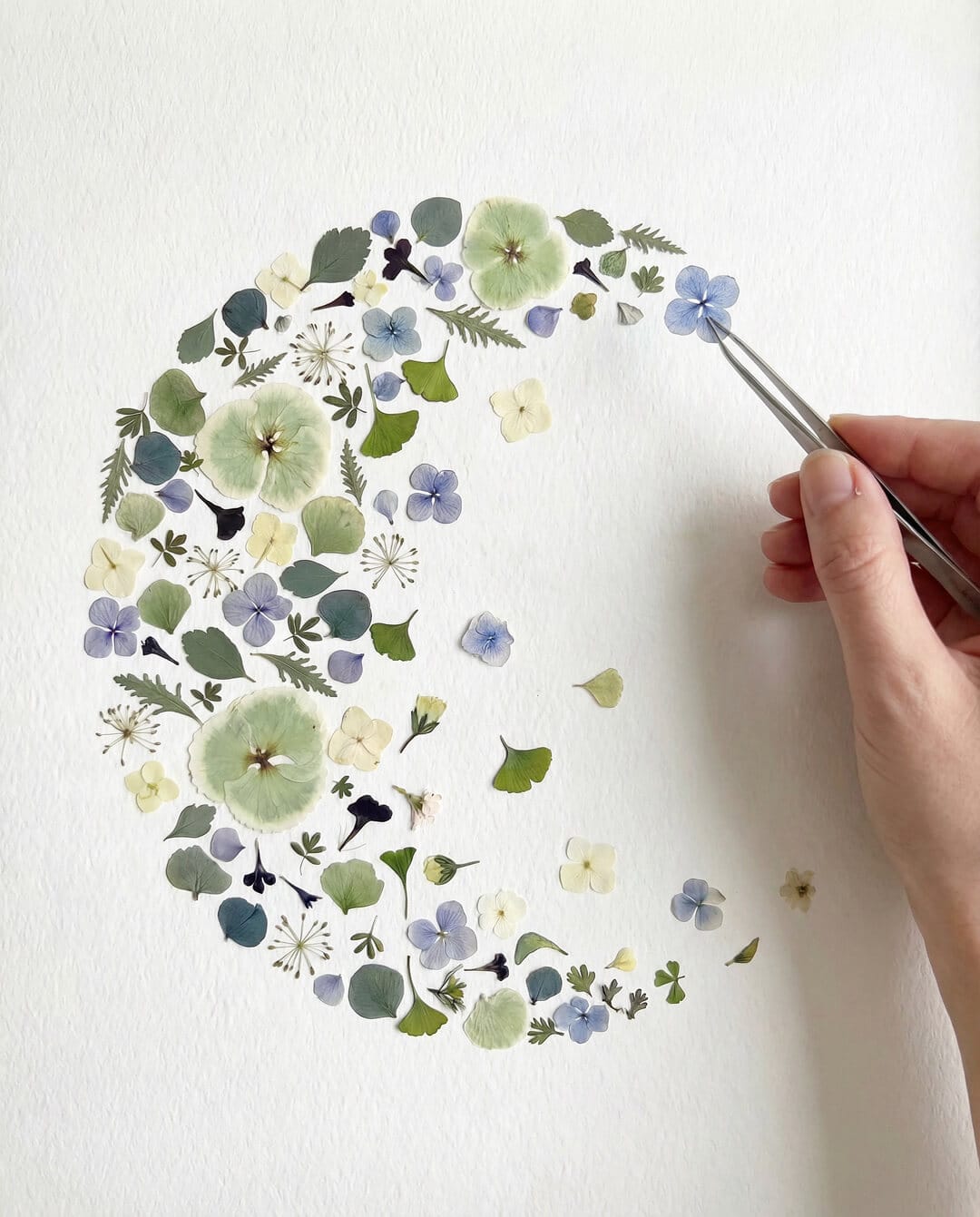 Hand arranging dried flowers with tweezers to form a fading moon shape on textured paper.
