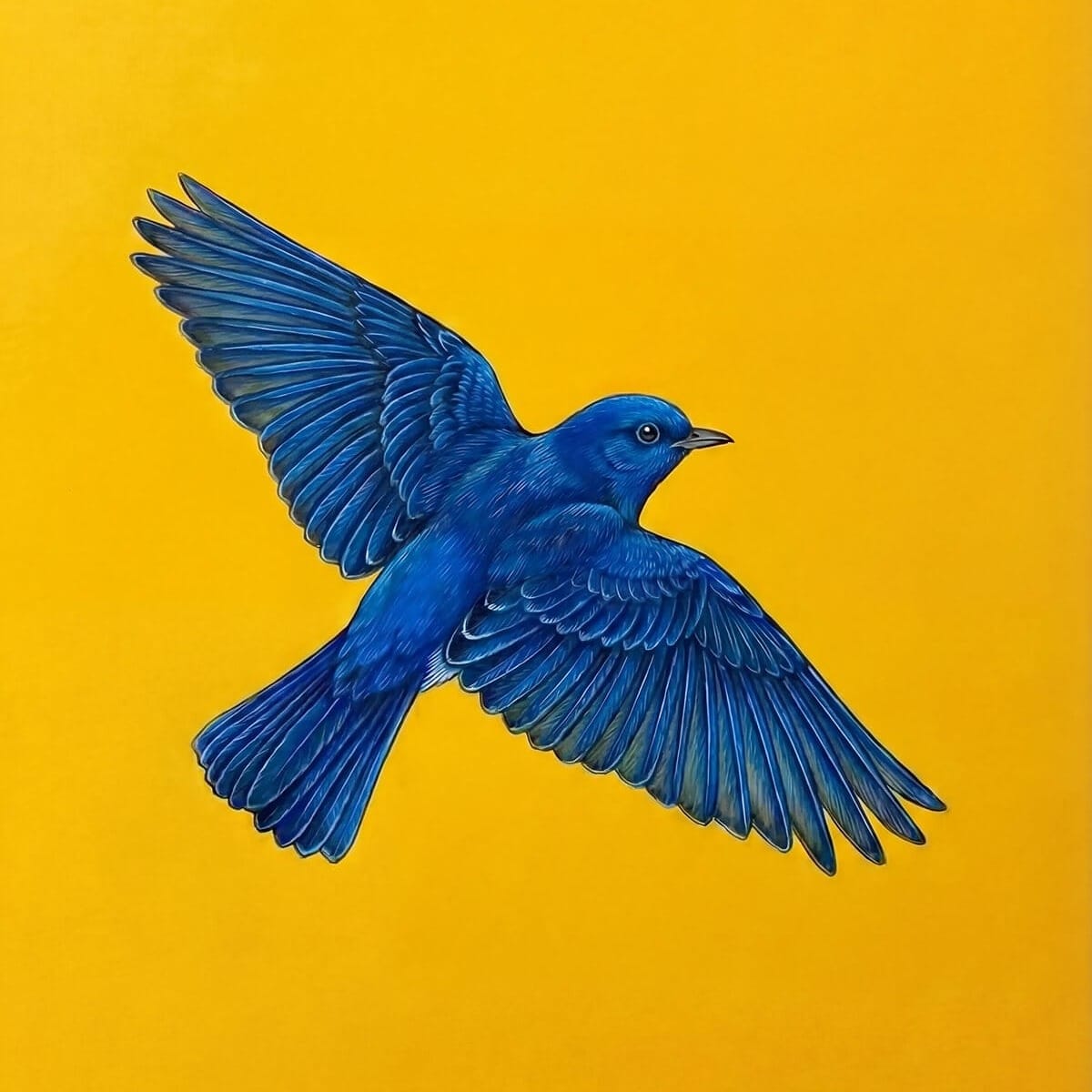 Blue nightingale (Bolbol / مرغ) in contemporary Golo Morgh Persian art, symbolising the lover in the classical bird and rose tradition.