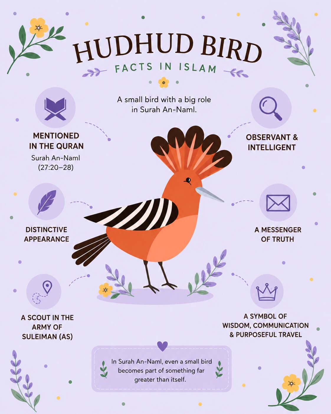 Pastel infographic showing the Hudhud (hoopoe) bird in Islam with facts about Surah An-Naml, Prophet Suleiman (AS), wisdom, and truthful communication.