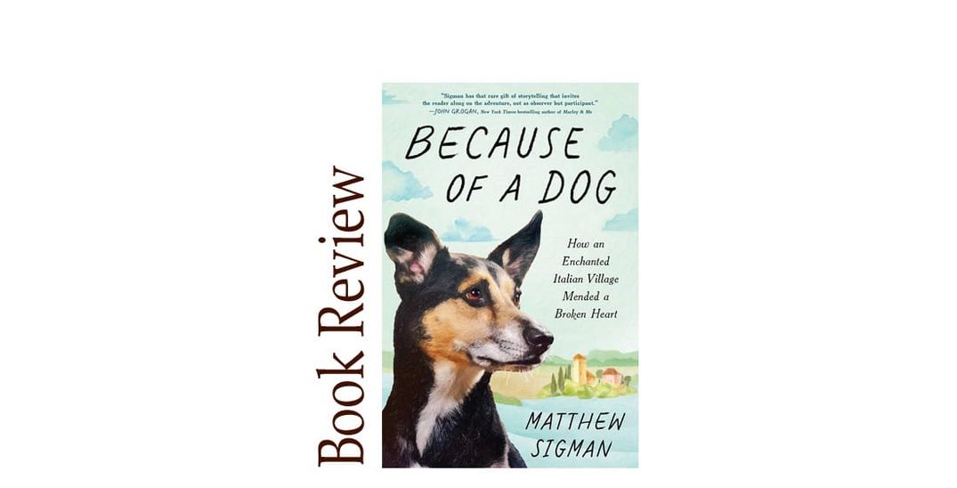 Becaus of a Dog  BOOK REVIEW