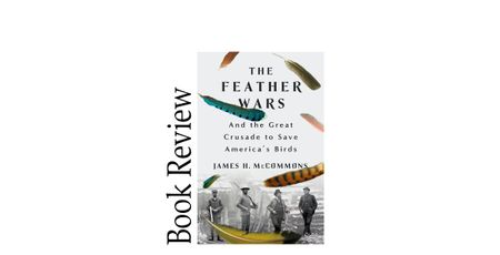 Image of: The Feather Wars BOOK REVIEW