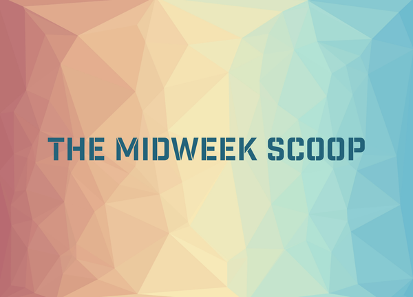 Private Equity in Law Firms – The Reshaping of a Profession