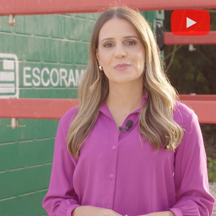 5 motivos para alugar escoramento de solo