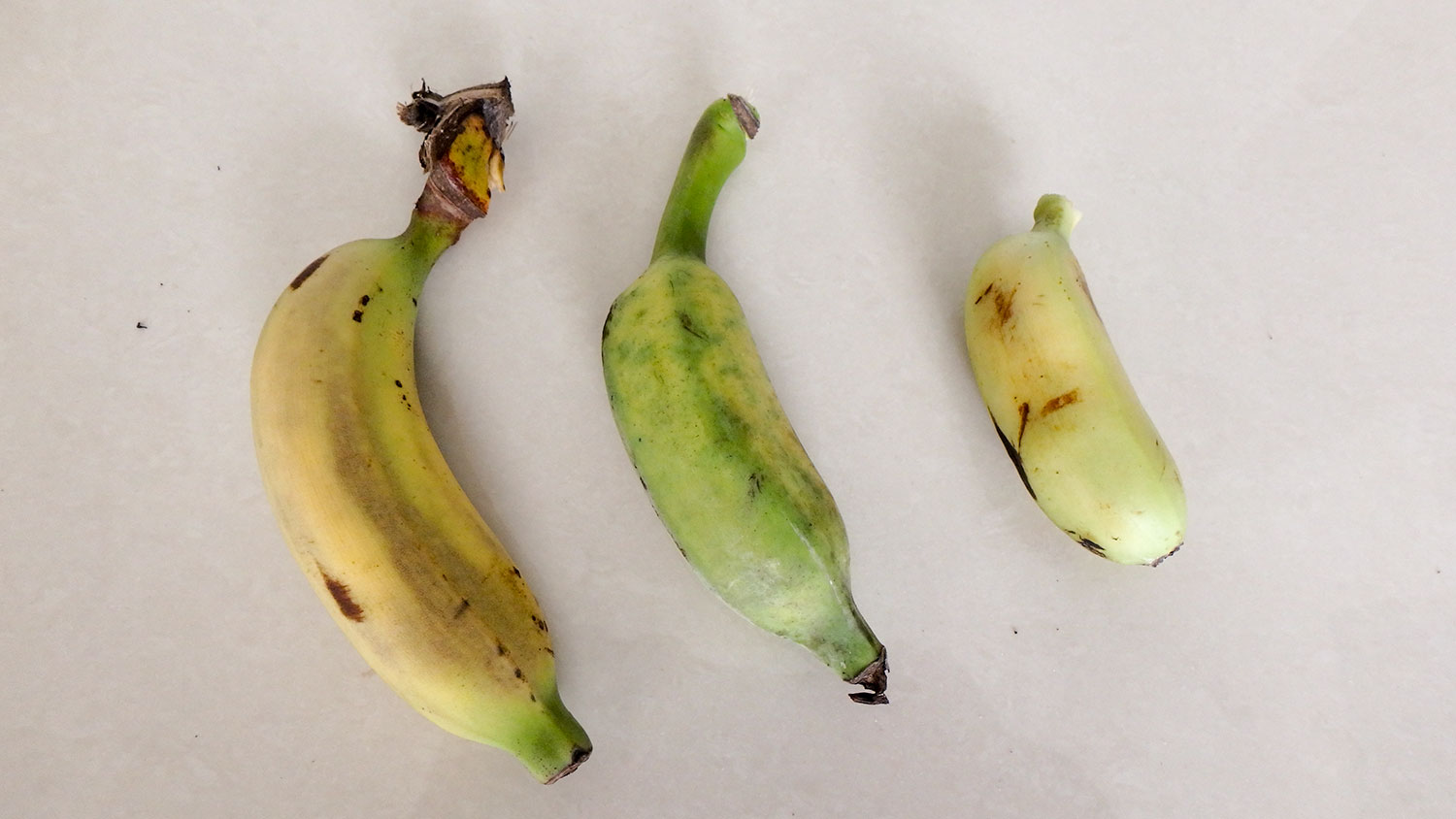 Thai bananas