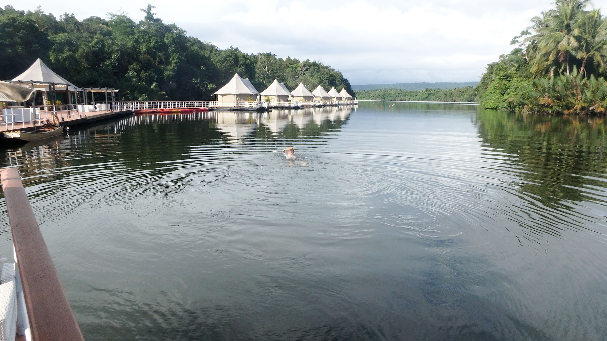 swim shot