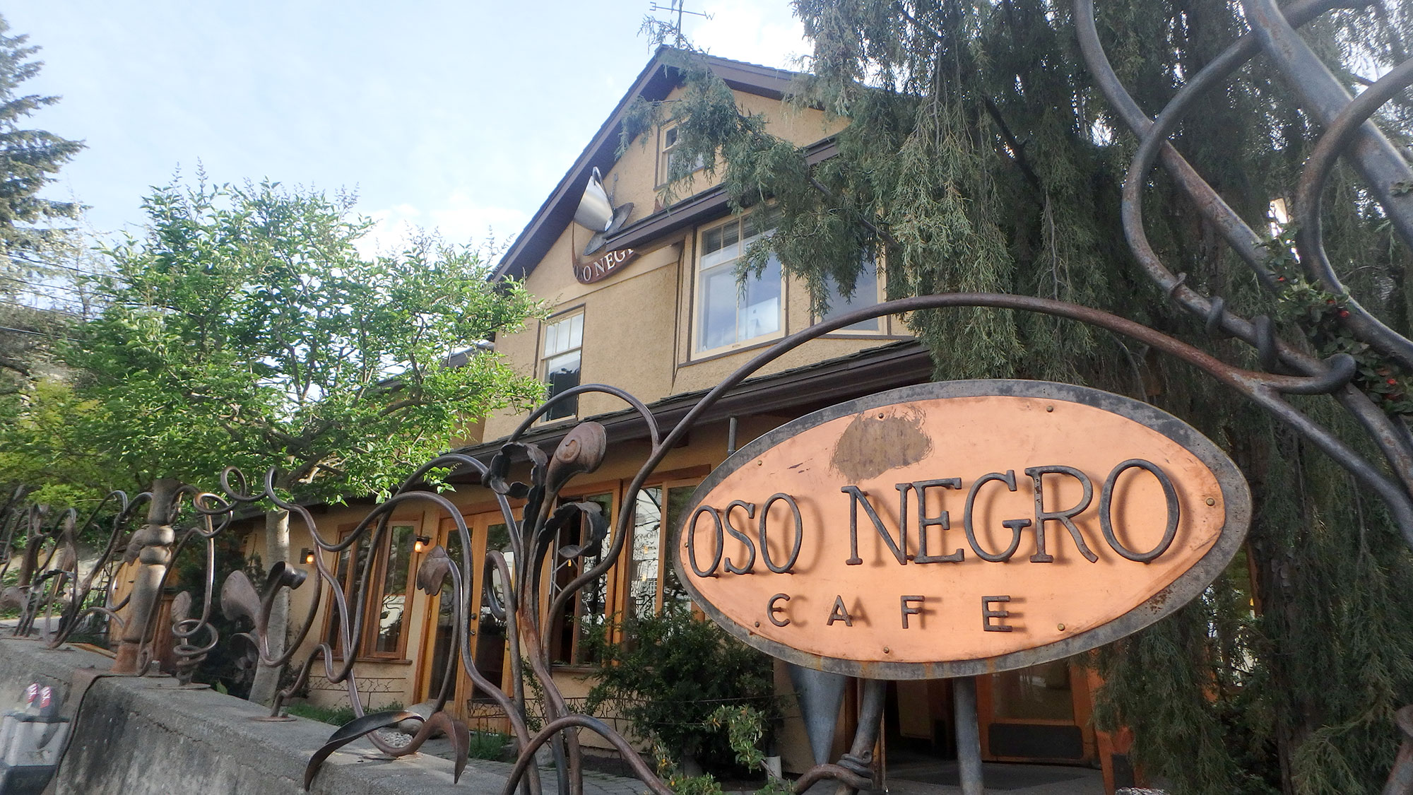 Oso Negro