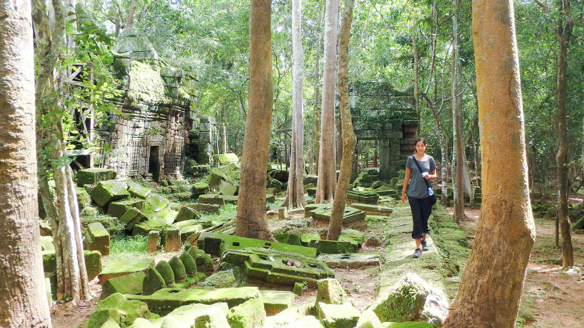 Forest temple